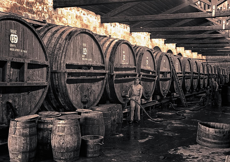 Fermentation Room Wine Cellar 1939 Photograph by Daniel Hagerman