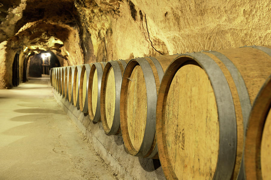 Wine Cellar Photograph by Fmajor Wine Cellar Photograph by Fmajor
