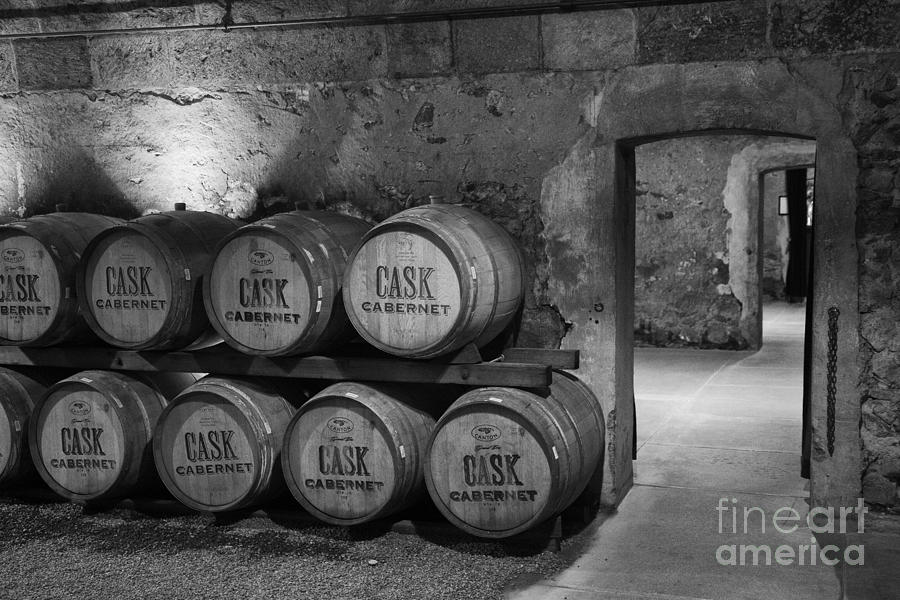 Wine Cellar in Black and White Photograph by Stephen McCabe - Pixels