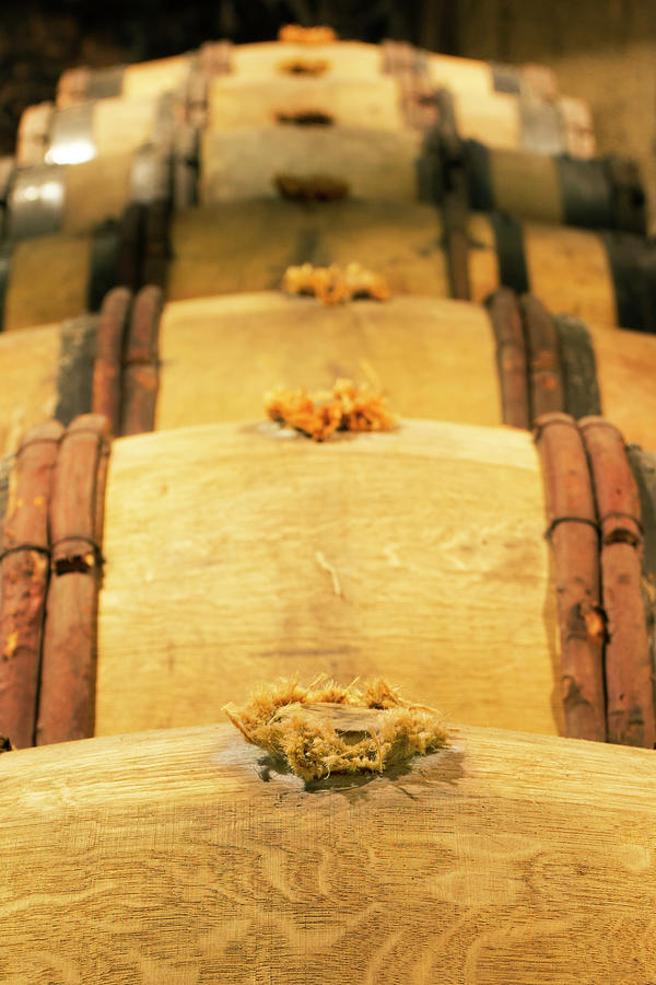Wine Cellar Photograph by Luoman Wine Cellar Photograph by Luoman