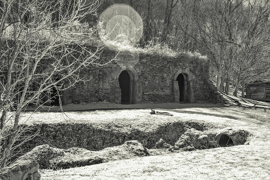 Black And White Photograph - Wine Cellar Park by Mary Almond
