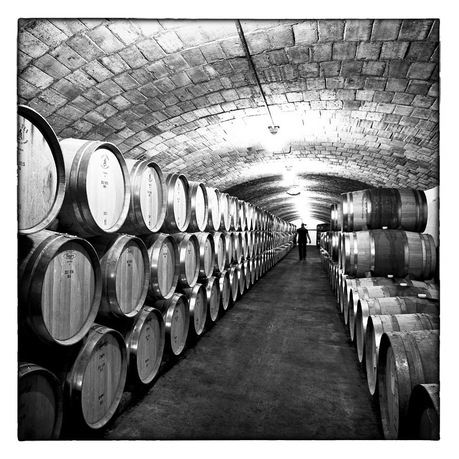 Wine Photograph - Wine cellar with oak barrels by Nicole Neuefeind