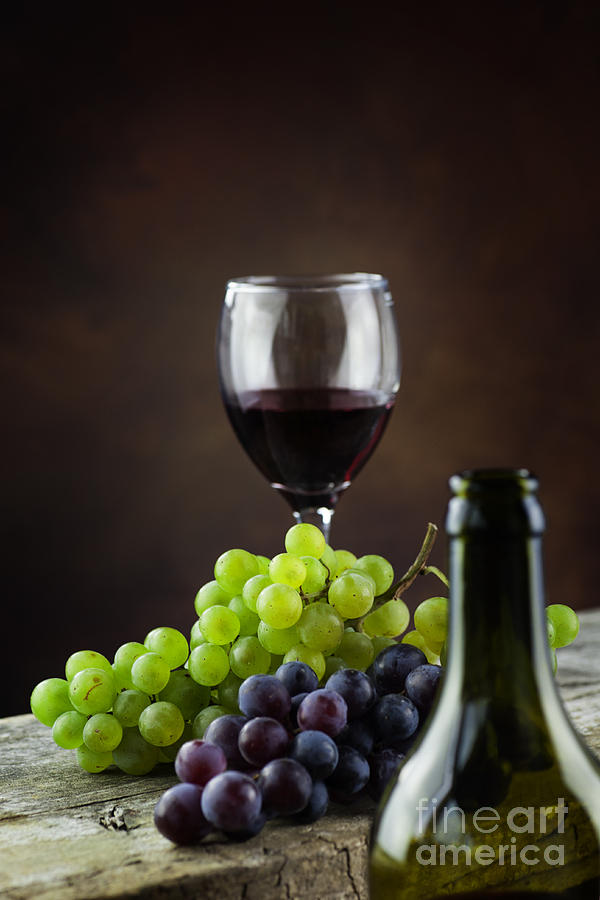 Grape Photograph - Wine concept by Mythja Photography