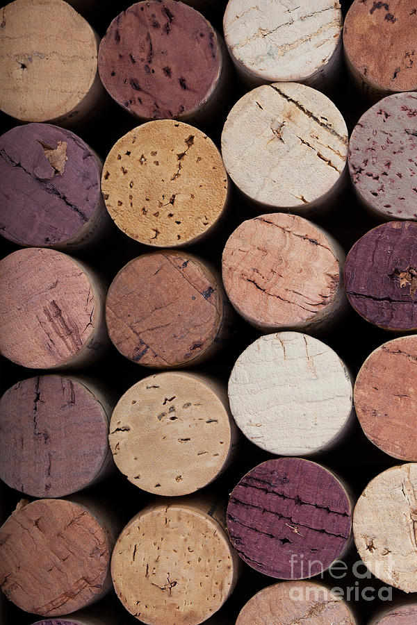 Wine corks 1 Photograph by Jane Rix Wine corks 1 Photograph by Jane Rix