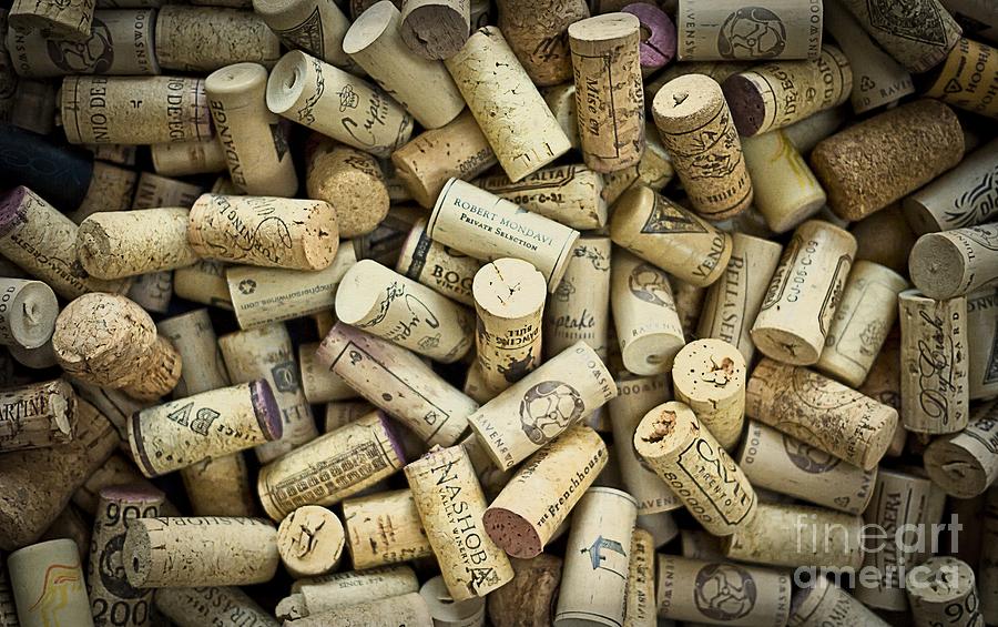 Wine Corks Photograph by Edward Fielding