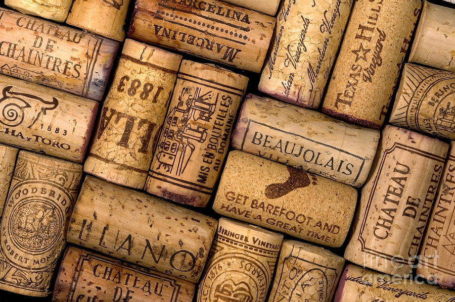 Wine Corks Photograph by Gregory G. Dimijian, M.D.