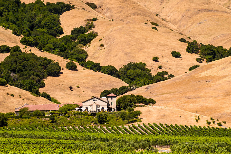 Wine Country Photograph by Paul Johnson