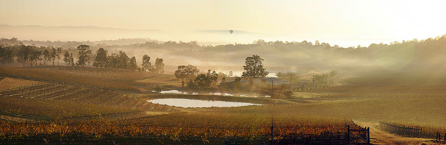 Wine Country Photograph by Rick Drent