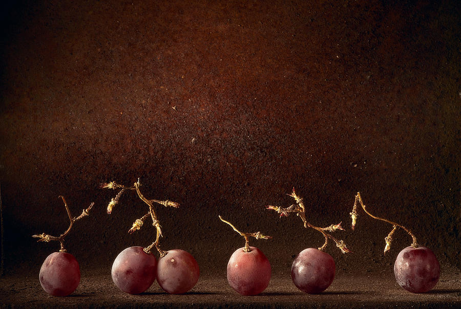 Dancing wine grapes Photograph by Dirk Ercken