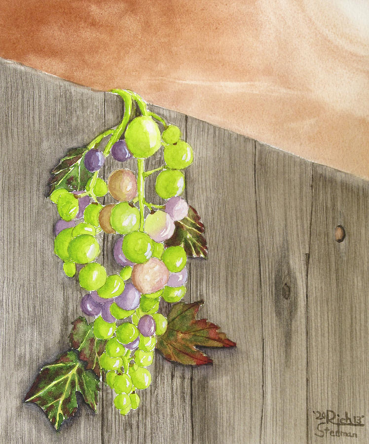 Wine on the Vine Painting by Richard Stedman