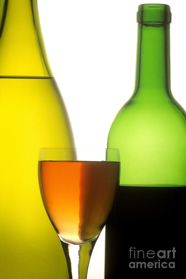 Wine Photograph - Wine. Red. White and Rose by Bernard Jaubert