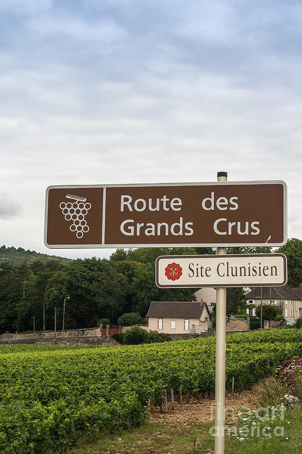 Wine route sign in France Photograph by Patricia Hofmeester