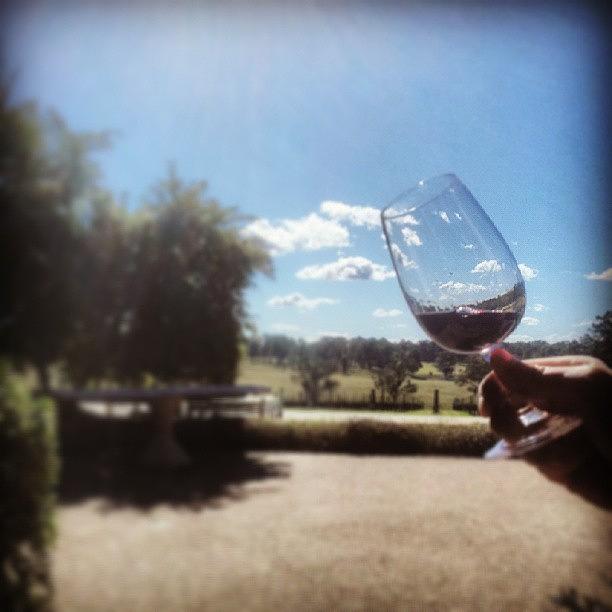 Wine Tasting - What A Life! Photograph by Glory Lau