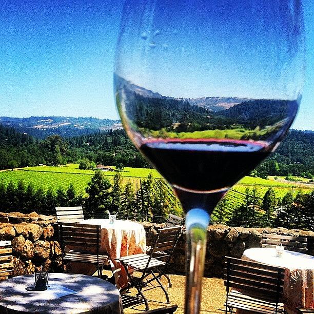 Vineyards Photograph - Wine Tasting At Napa Valley, California by Megan Hawkes