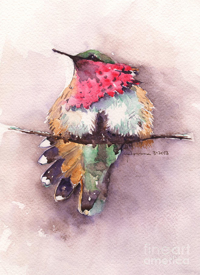 Wine-throated Hummingbird Painting by Claudia Hafner