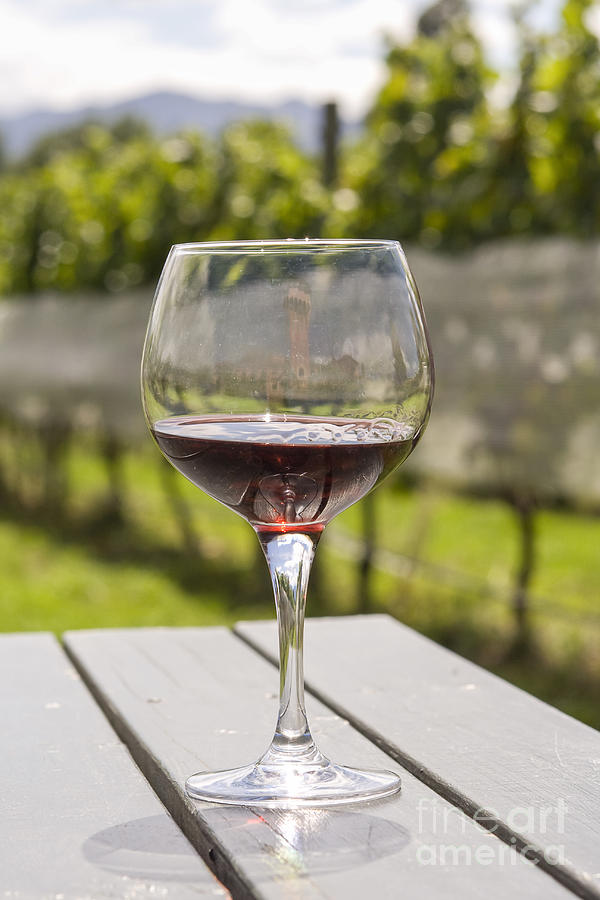 Wineglass with red wine on table in vineyard Photograph by Patricia Hofmeester