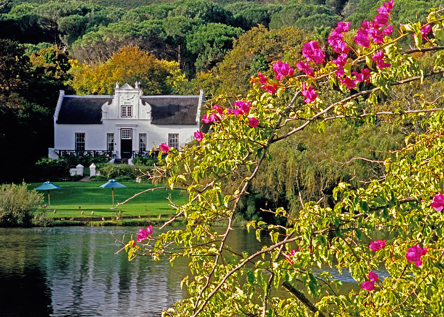 Winelands manor Photograph by Dennis Cox