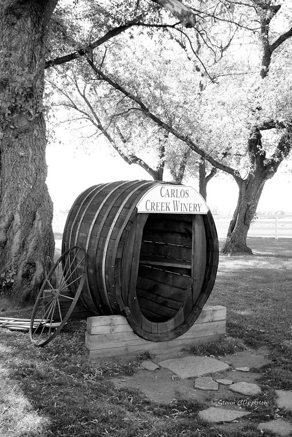 Winery Photograph by Steven Clipperton