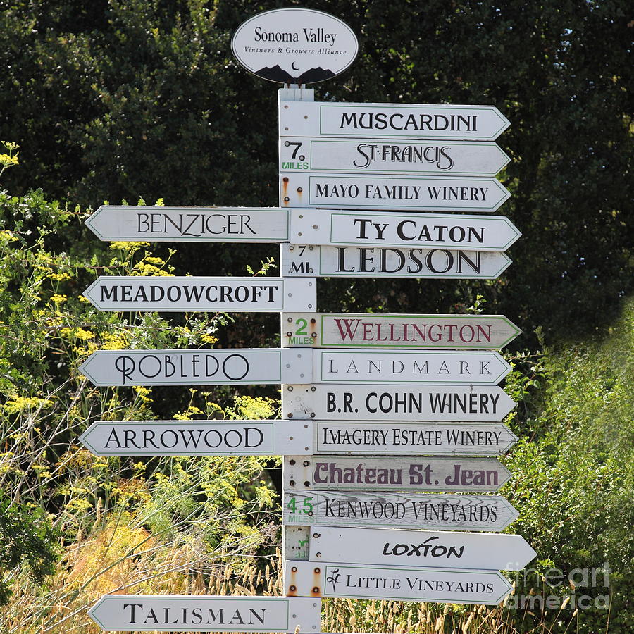 Winery Street Sign In The Sonoma California Wine Country 5D24601 square Photograph by Wingsdomain Art and Photography