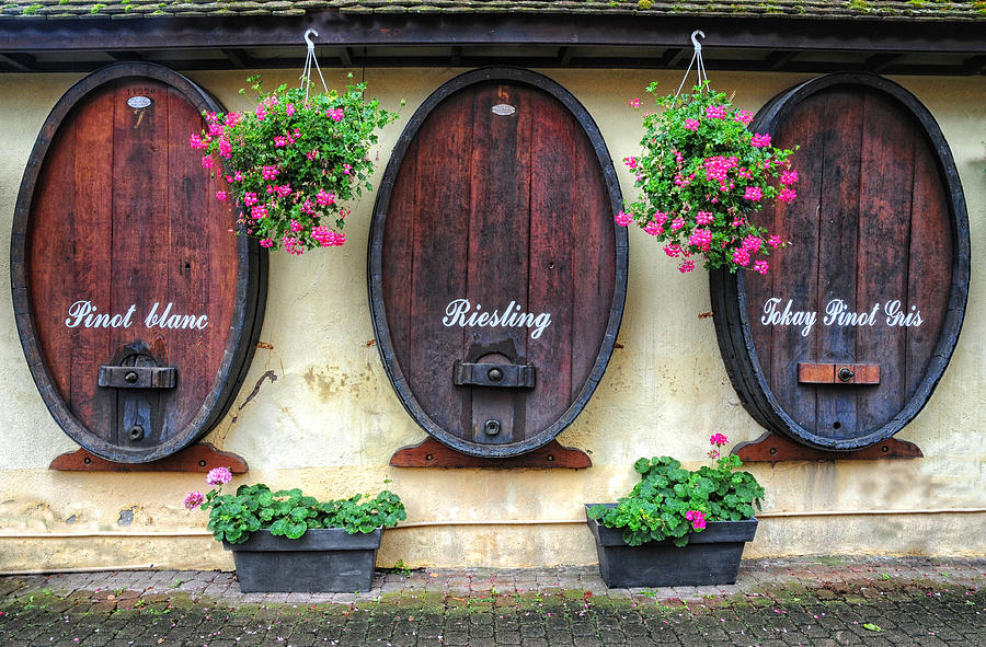 Wines of Alsace Photograph by Dave Mills