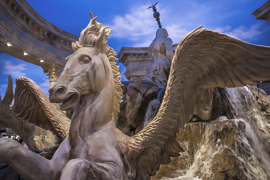 Winged Horse Photograph by Glenn DiPaola