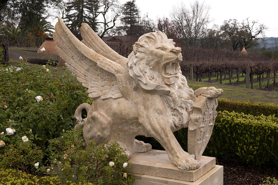 Napa Photograph - Winged Lion Statue in Napa Vineyard by Carol M Highsmith