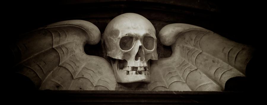 Winged Skull Photograph by Tim Bartsch - Fine Art America