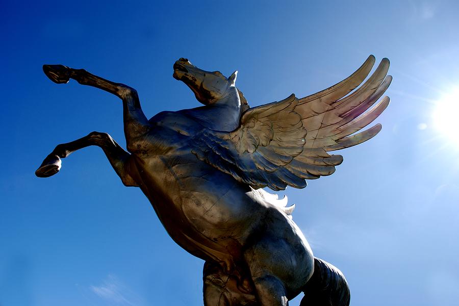 Pegasus Photograph - Winged Wonder I by Norma Brock