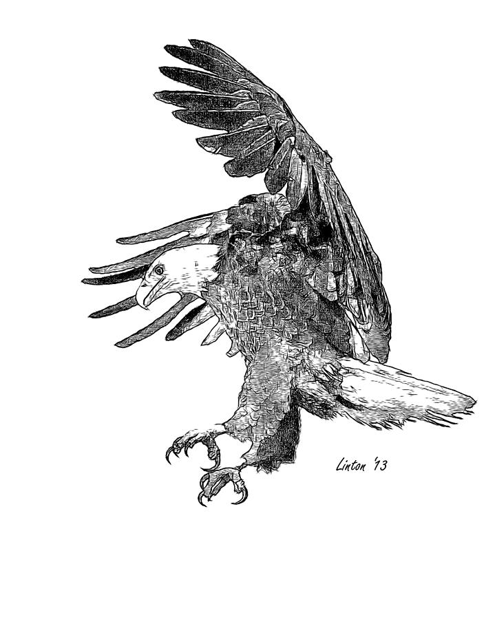 Wings Beak And Talons 2 Digital Art by Larry Linton