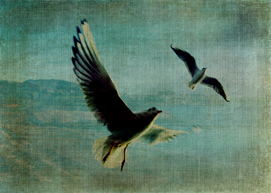 Bird Digital Art - Wings over the World by Sarah Vernon Bird Digital Art - Wings over the World by Sarah Vernon