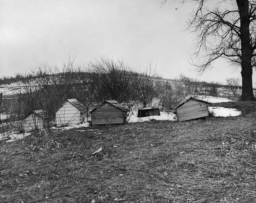 Winnebago Graves, 1920 Photograph by Granger - Pixels