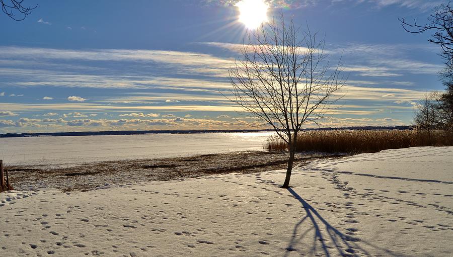 Winter Feelings Photograph by Stefan Pettersson - Fine Art America