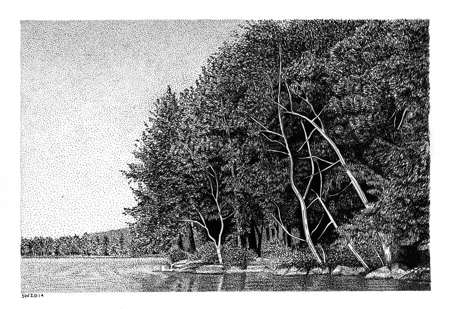 Winnipesaukee Shoreline Drawing by Scott Woyak
