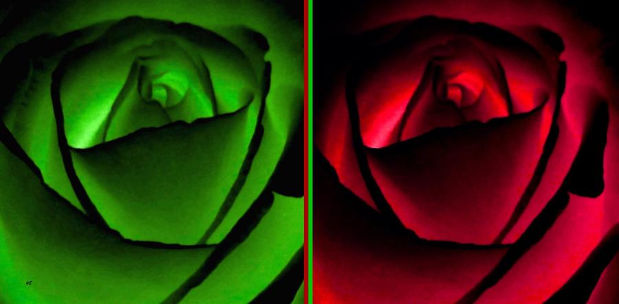 Winsome Roses Pair Digital Art by Will Borden