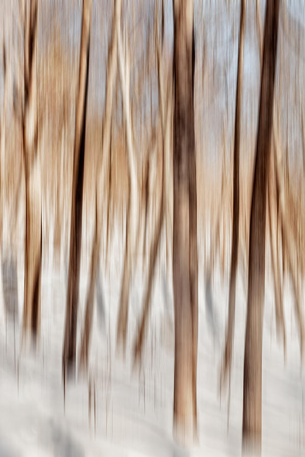 Winter Abstract Photograph by Bill Wakeley