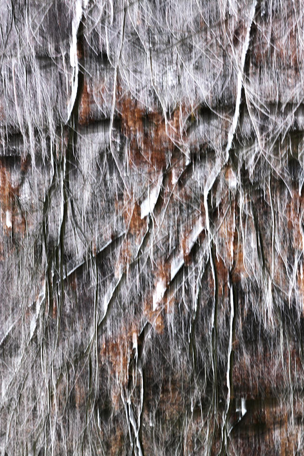 Winter abstract Photograph by Daniel Csoka