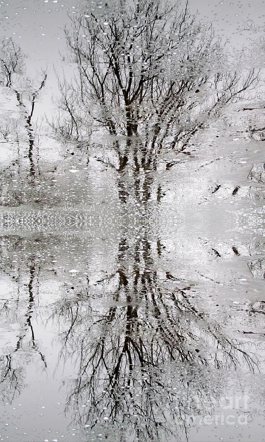 Winter Abstract Photograph by Lili Feinstein