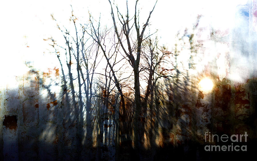 Winter Abstract Photograph by Mary Underwood