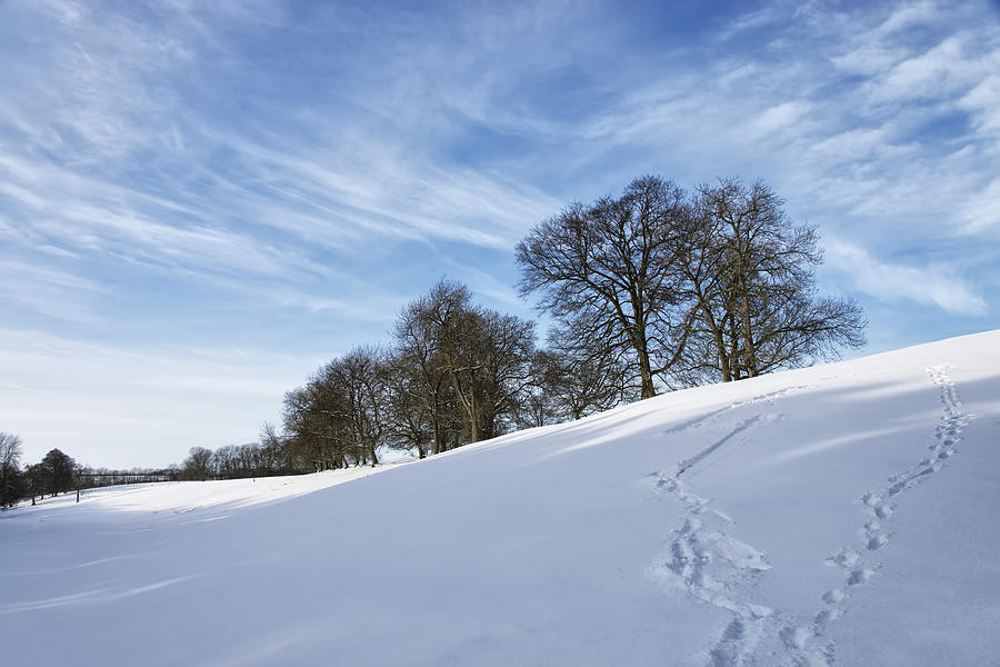 Winter Photograph - Winter by Alastair Graham