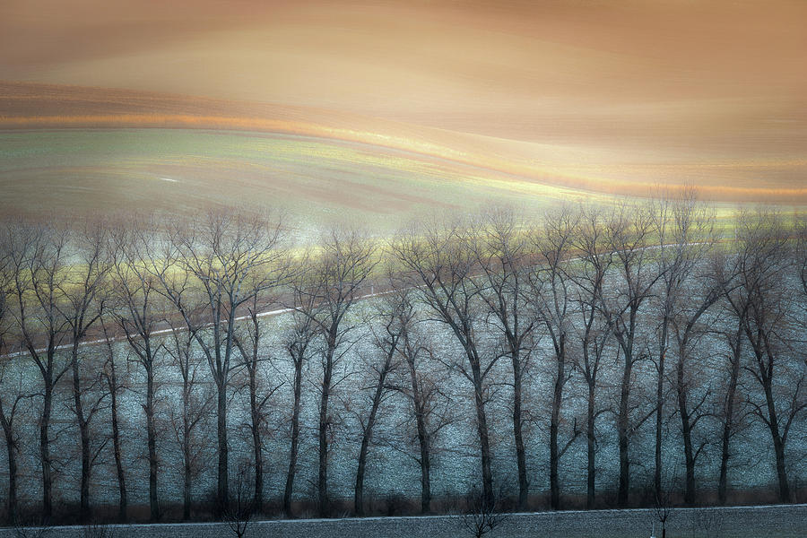 Alley Photograph - Winter Alley by Marek Boguszak Alley Photograph - Winter Alley by Marek Boguszak