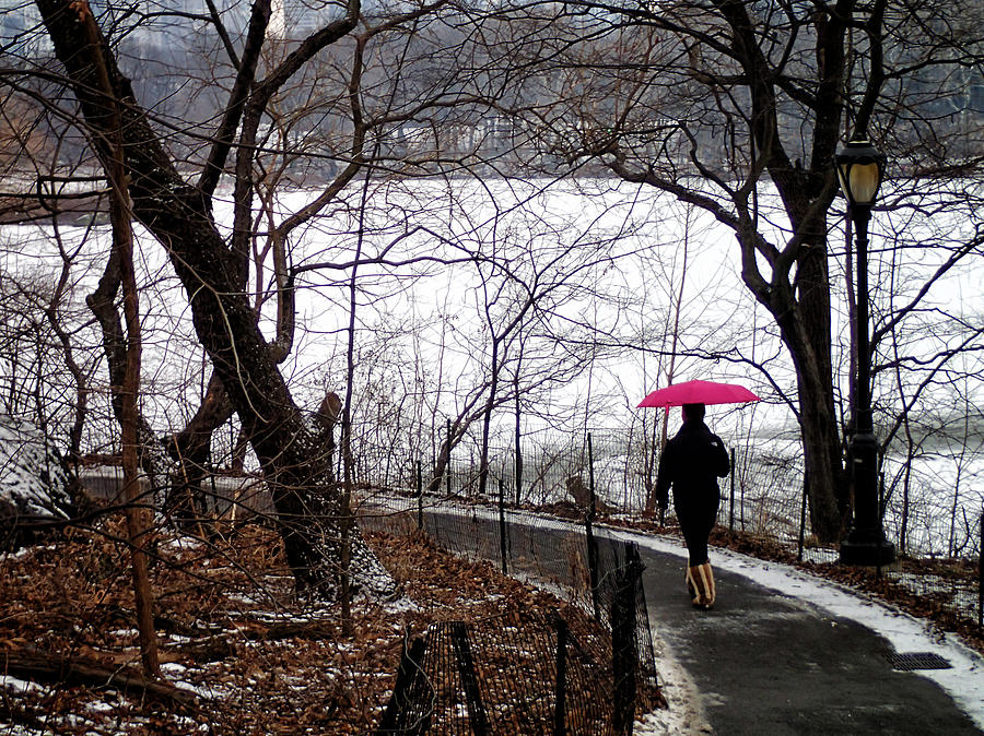 Winter and a Pink Umbrella Photograph by Cornelis Verwaal