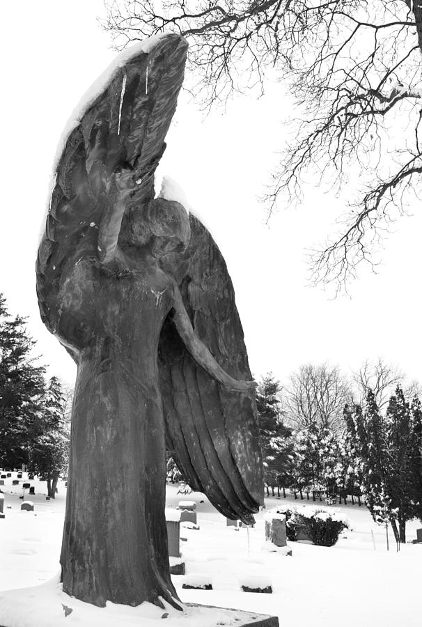 Winter Angel Photograph by Jamieson Brown