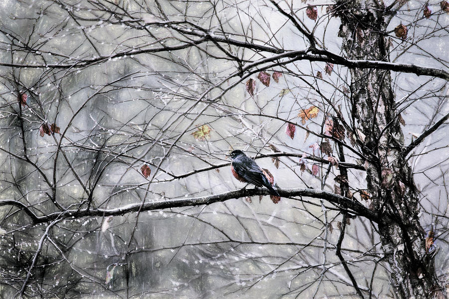 Winter Approaching Photograph by John Rivera