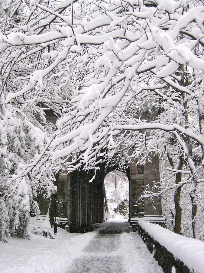Winter Photograph - Snow Arches at Fort Tryon  by Ydania Ogando