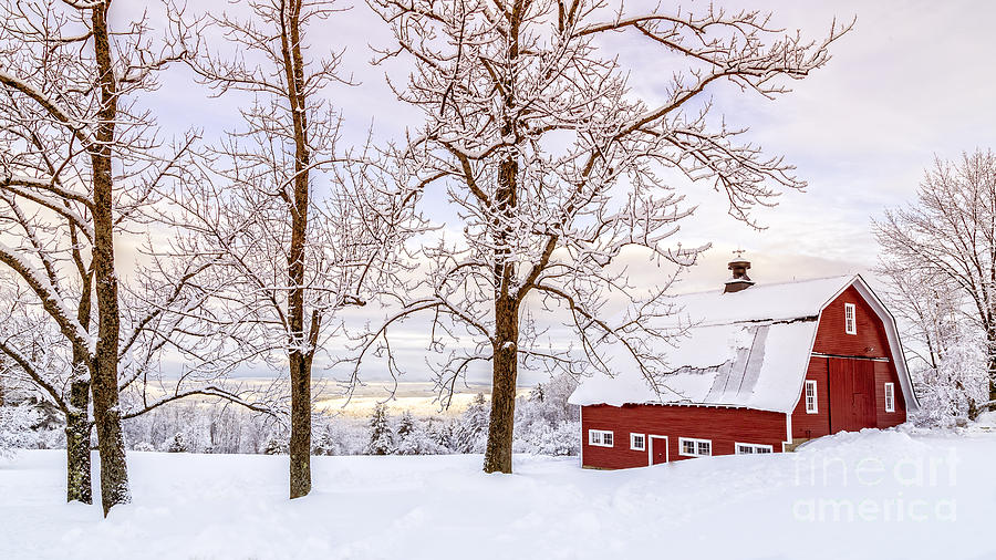 Winter Photograph - Winter Arrives by Edward Fielding