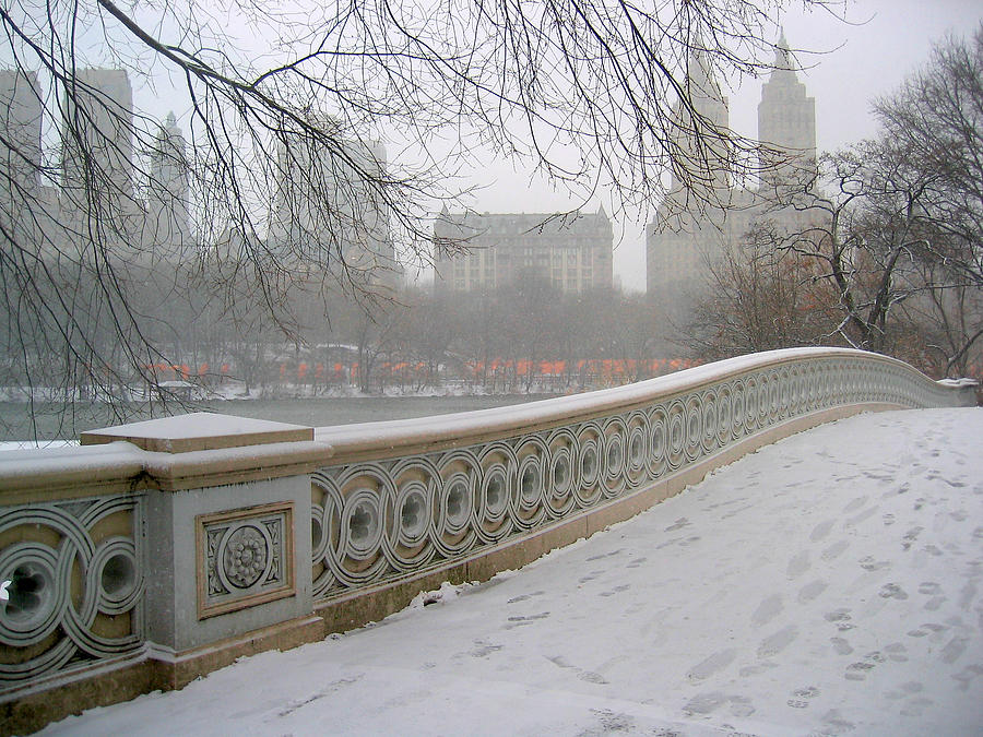 Winter at Bow Bridge Photograph by Cornelis Verwaal