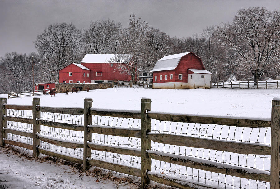 Winter At Buffalo Hollow Farm Photograph by Pat Abbott