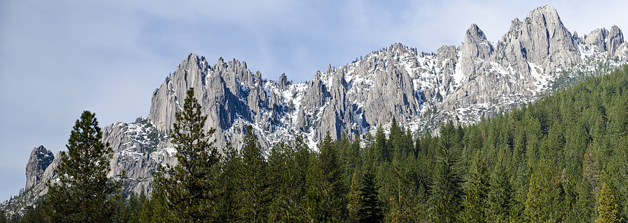 Tree Photograph - Winter at Castle Crags by Loree Johnson
