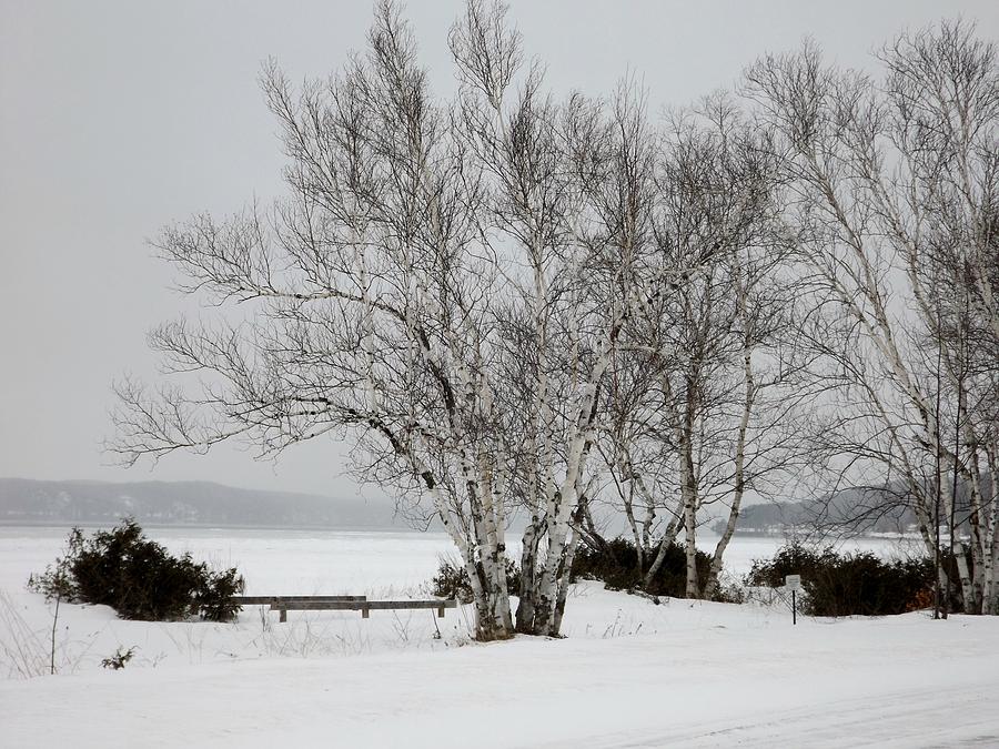 Winter At Crystal Lake Photograph