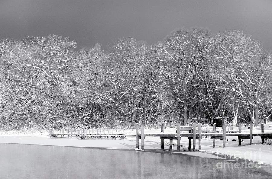 Winter At Dunton Park Photograph by Denise Woldring